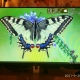Монитор 27” Dell S2721HN                                                                                                                                                                                                                                   - review photo
