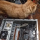Материнская плата Gigabyte GA-A320M-H                                                                                                                                                                                                                      - review photo
