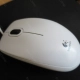 Мышь Logitech B100 White                                                                                                                                                                                                                                   - review photo