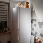 Холодильник Indesit ITR 4180 W                                                                                                                                                                                                                            