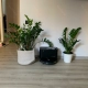 Пылесос-робот Xiaomi Viomi Robot Vacuum Alpha 2 pro black V-RVCLMD40B                                                                                                                                                                                      - review photo