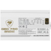 Блок питания Cougar GEC SNOW 750 [31GC0750002PR01] белый 