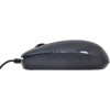 Мышь Defender Datum MM-010 чёрный 