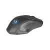 Мышь игровая REDRAGON Nemeanlion 2 