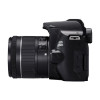 Фотоаппарат Canon EOS 250D EF-S 18-55 IS STM Kit Black 