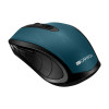 Мышь беспроводная Canyon CNS-CMSW08G Green 