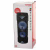 Портативная колонка Telefunken TF-PS2204S 