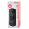 Портативная колонка Telefunken TF-PS2205 
