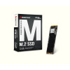 Диск SSD M.2 PCI-E 1000Gb (1TB) BIOSTAR M760 (SA122PME3T) 