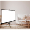 Экран Cactus 180x180см Triscreen CS-PST-180x180 черный 