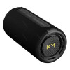 Портативная колонка Loewe WeHearPro black 