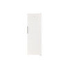 Морозильная камера Indesit DSZ 5175 G 