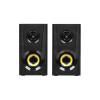 Колонки звуковые 2.0 RITMIX SP-3030W 