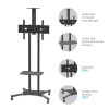 Мобильная стойка ARM MEDIA PT-STAND-12 