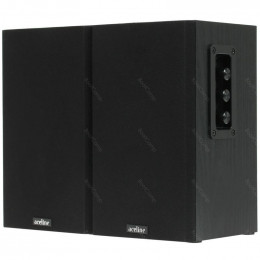 Колонки Aceline ASP300 черный                                                                                                                                                                                                                             