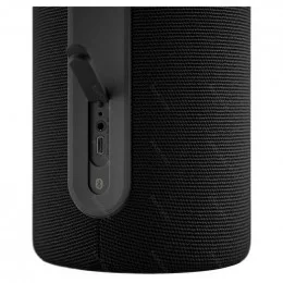 Портативная колонка Loewe WeHearPro black                                                                                                                                                                                                                 