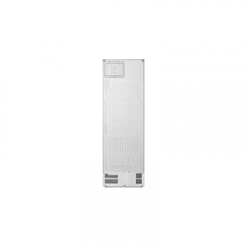 Холодильник LG GBBSJ1CCPY 