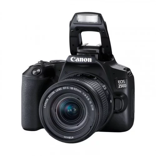 Фотоаппарат Canon EOS 250D EF-S 18-55 IS STM Kit Black 