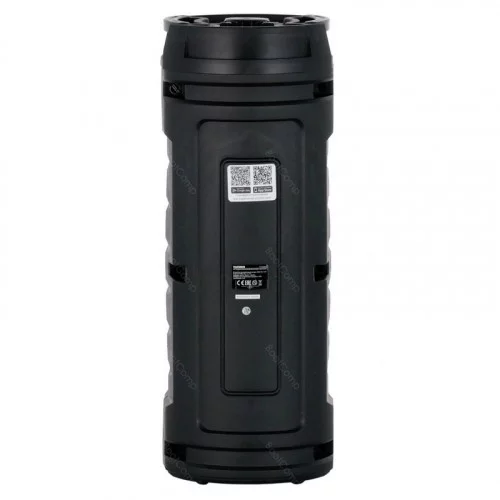 Портативная колонка Telefunken TF-PS2204S 
