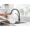 Кухонный смеситель PAULMARK SIEGEN-418(BLM) Si213111-418 черный металлик 