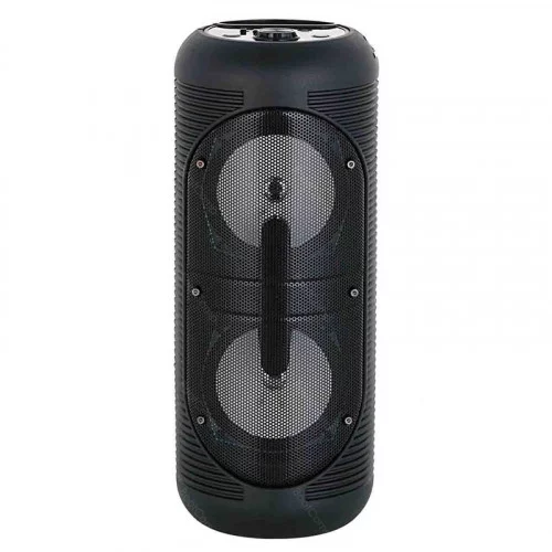 Портативная колонка Telefunken TF-PS2205 