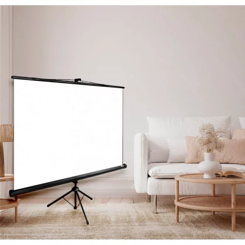 Экран Cactus 180x180см Triscreen CS-PST-180x180 черный 
