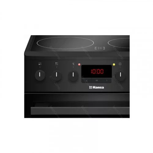 Плита электрическая Hansa FCCM 58209H 