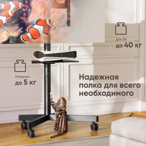 Мобильная стойка для ТВ ONKRON TS1137 чёрный 