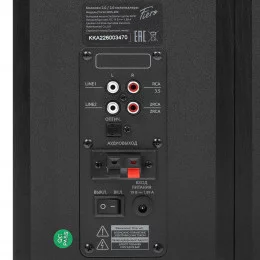 Колонки Fiero BHS-200 черный                                                                                                                                                                                                                              