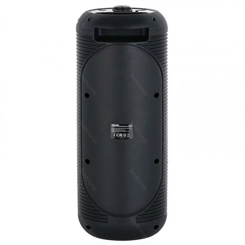 Портативная колонка Telefunken TF-PS2205 