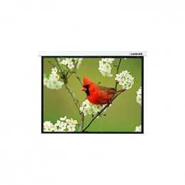 Экран проекционный 305x229 Lumien Master Picture настенный                                                                                                                                                                                                