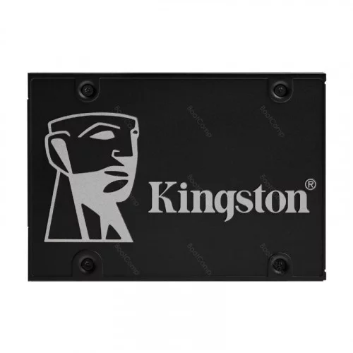 Жесткий диск SSD 256Gb Kingston SKC600/256G 