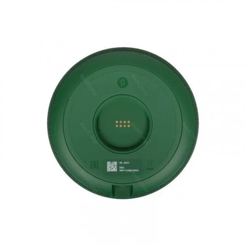 Умная колонка Новая Яндекс Станция Мини Про 3 YNDX-00059GRN 