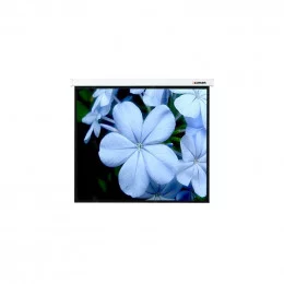 Экран проекционный 305x229 Lumien Master Picture настенный                                                                                                                                                                                                