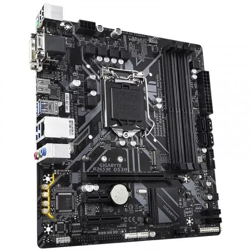Материнская плата Gigabyte B365M DS3H 