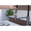 Кухонный смеситель PAULMARK GANYMEDE GANYMEDE-LG (Gd613199-GM) 