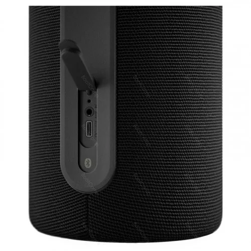 Портативная колонка Loewe WeHearPro black 