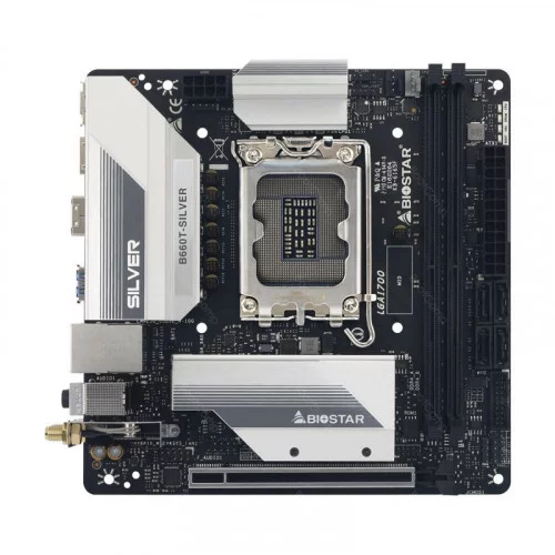 Материнская плата BIOSTAR B660T-Silver 