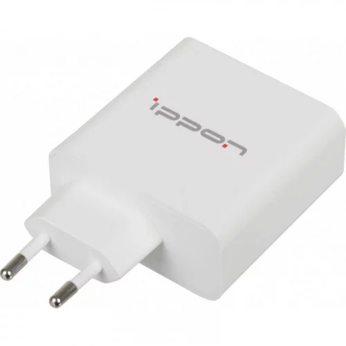 Блок питания Ippon CW61E 61W 
