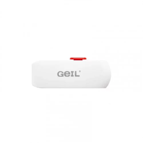 USB Flash Drive 256GB Geil GH320U32-256G 
