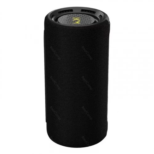 Портативная колонка Loewe WeHearPro black 