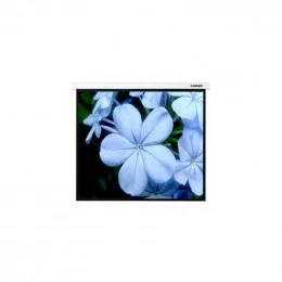 Экран проекционный 274x206 Lumien Master Picture настенный (белый корпус)                                                                                                                                                                                 