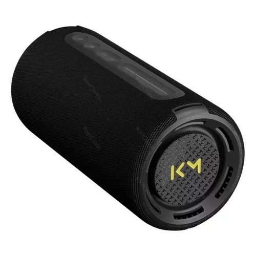 Портативная колонка Loewe WeHearPro black 
