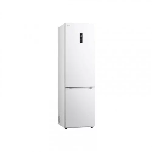 Холодильник LG GBV 7270ESW 