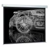 Экран Cactus 213x213см Wallscreen CS-PSW-213x213 